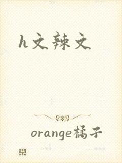h文辣文封面