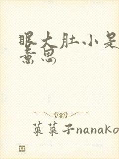 眼大肚小是什么意思封面