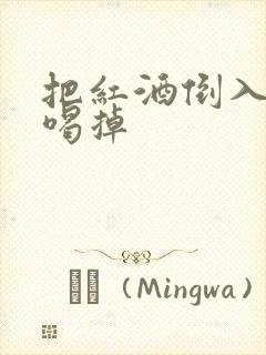 把红酒倒入b里喝掉