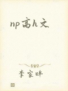 np高h文封面
