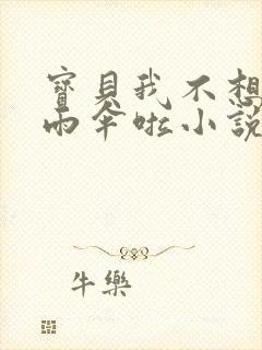 宝贝我不想带小雨伞啦小说