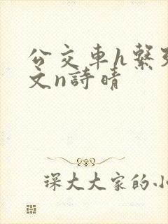 公交车h系列辣文n诗晴