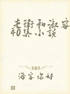 老卫和淑容1-40集小说封面