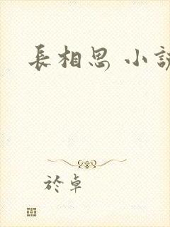 长相思 小说封面