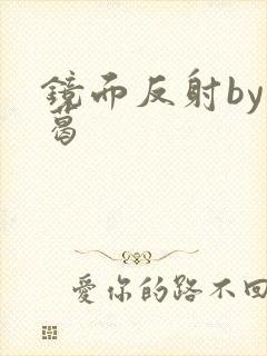 镜面反射by九葛封面