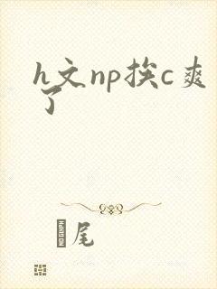 h文np挨c爽了封面