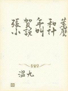 张贺年和叶繁姿小说叫什么名字