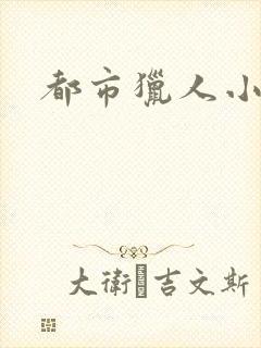 都市猎人小说封面