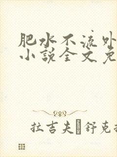 肥水不流外人田小说全文免费阅读1