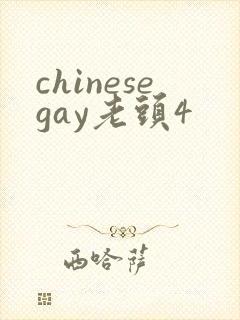 chinesegay老头4