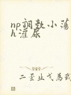 np调教小荡货h灌尿封面