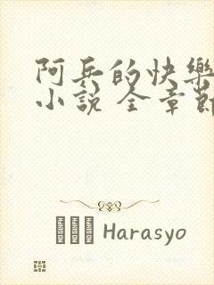 阿兵的快乐生活小说 全章节阅读免费