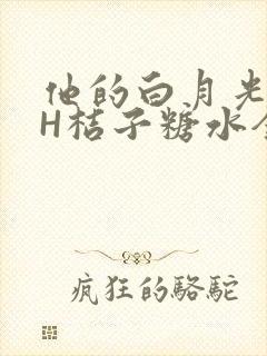 他的白月光HVH桔子糖水全文