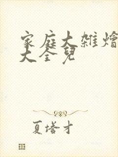 家庭大杂烩小说大全儿