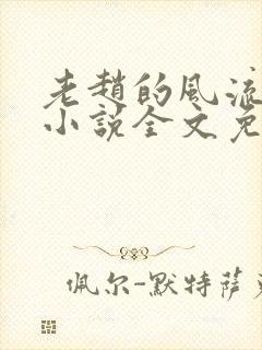 老赵的风流人生小说全文免费阅读