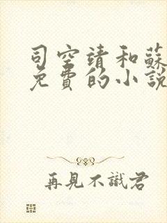 司空靖和苏月汐免费的小说笔趣阁
