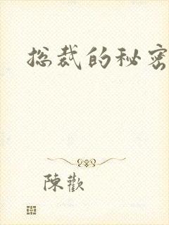 总裁的秘密情人