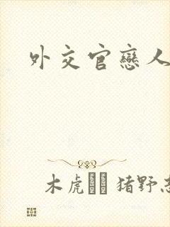 外交官恋人小说