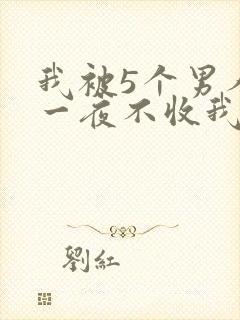 我被5个男人躁一夜不收我怎么办封面