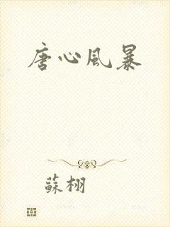 唐心风暴封面