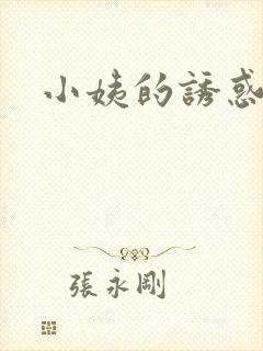 小姨的诱惑小说封面