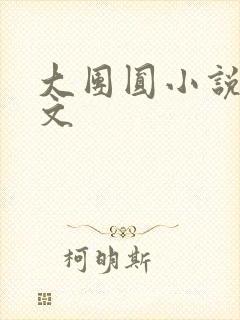 大团圆小说集全文