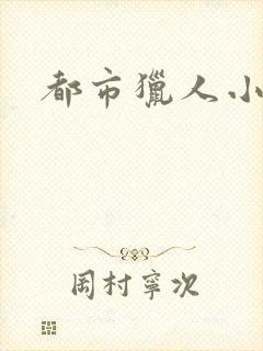 都市猎人小说封面