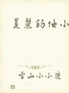 美丽的他小说