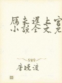 雁未迟上官穿越小说全文免费阅读