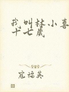 我叫林小喜今年十七岁封面