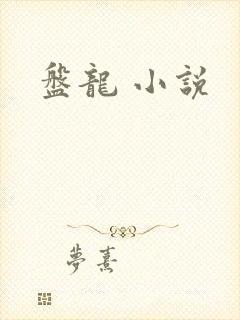 盘龙 小说封面