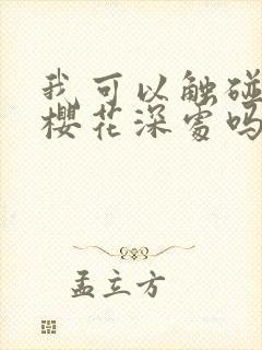 我可以触碰你的樱花深处吗封面