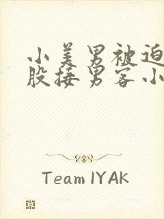 小美男被迫卖屁股接男客小说