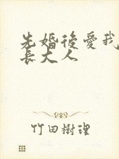 先婚后爱我的市长大人