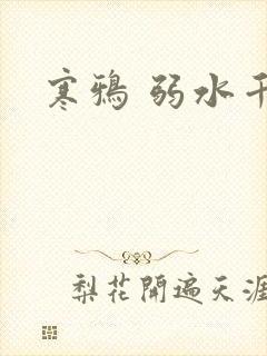 寒鸦 弱水千流