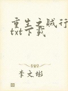 重生之贼行天下txt下载封面