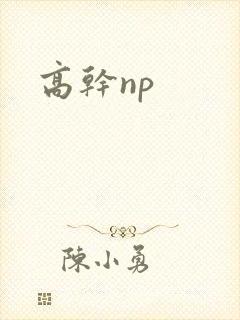 高干np封面