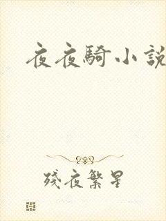 夜夜骑小说