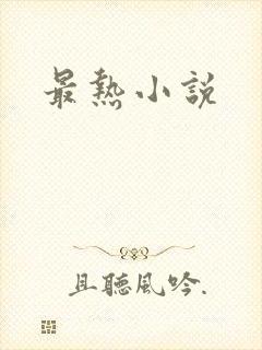 最热小说