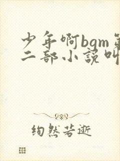 少年啊bgm第二部小说叫什么
