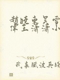 赵晓东吴雪晴郑伟王潇潇小说名字封面