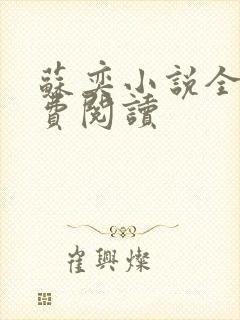 苏奕小说全文免费阅读