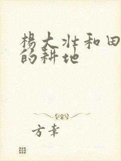 杨大壮和田桂花的耕地