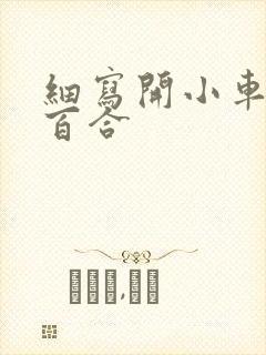 细写开小车车的百合封面