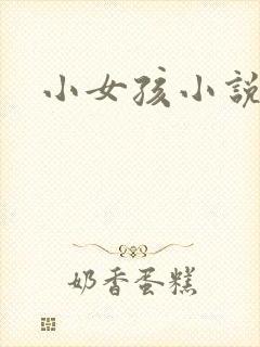 小女孩小说封面