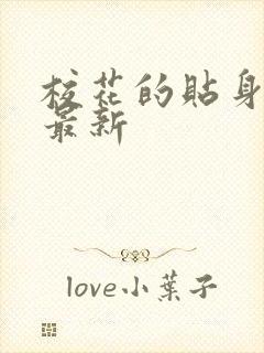 校花的贴身高手最新