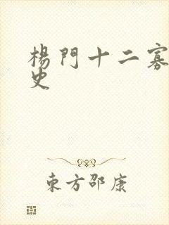 杨门十二寡妇艳史