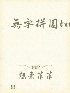 无字拼图txt封面