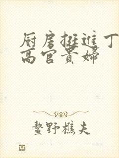 厨房挺进丁字裤高官贵妇