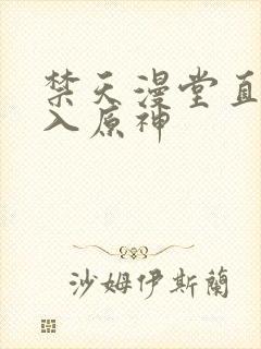 禁天漫堂直接进入原神